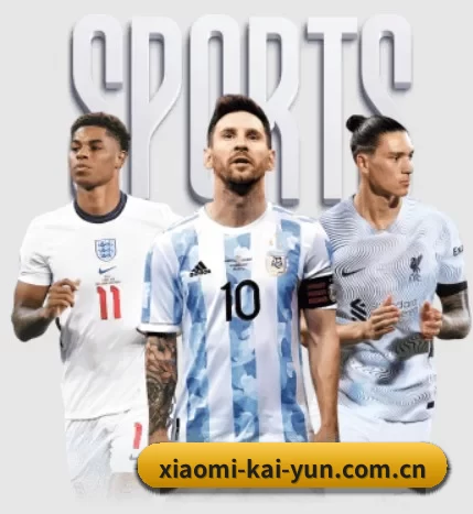 本站五个常用功能入口,赛程查询路径更短 | kaiyun app