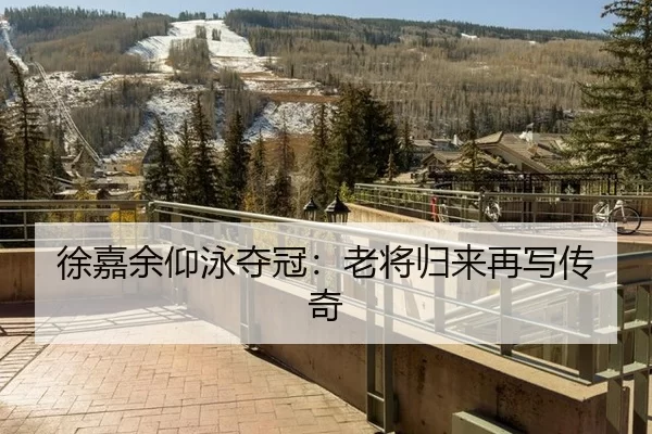 徐嘉余仰泳夺冠：老将归来再写传奇 | kaiyun app